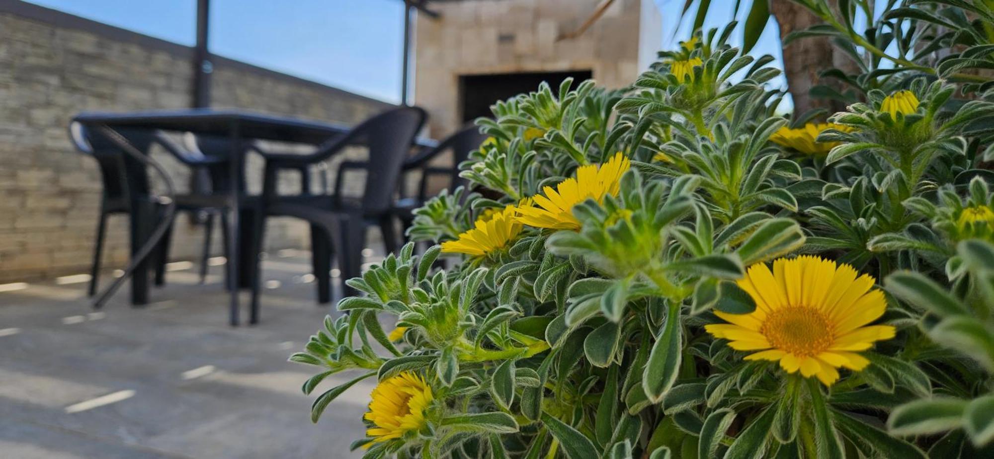 Villa Silver Stari Grad Szoba fotó